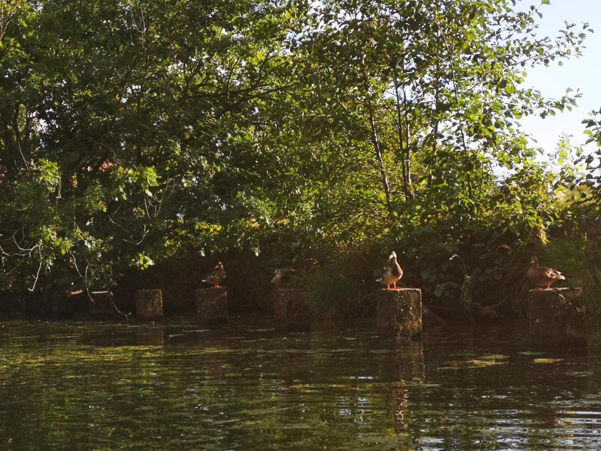 Spreewald Ferienwohnung Wollgast Люббен Экстерьер фото