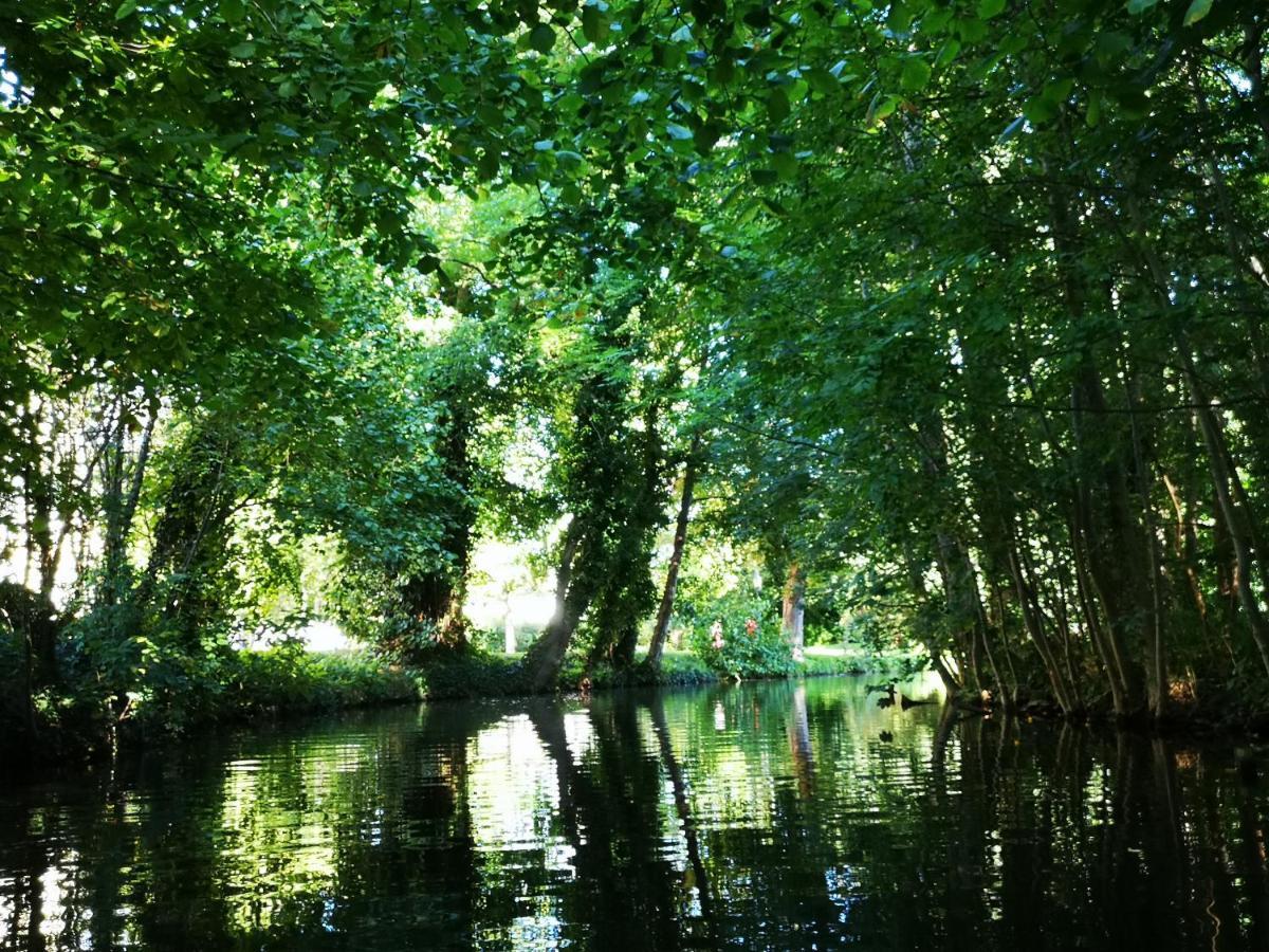 Spreewald Ferienwohnung Wollgast Люббен Экстерьер фото